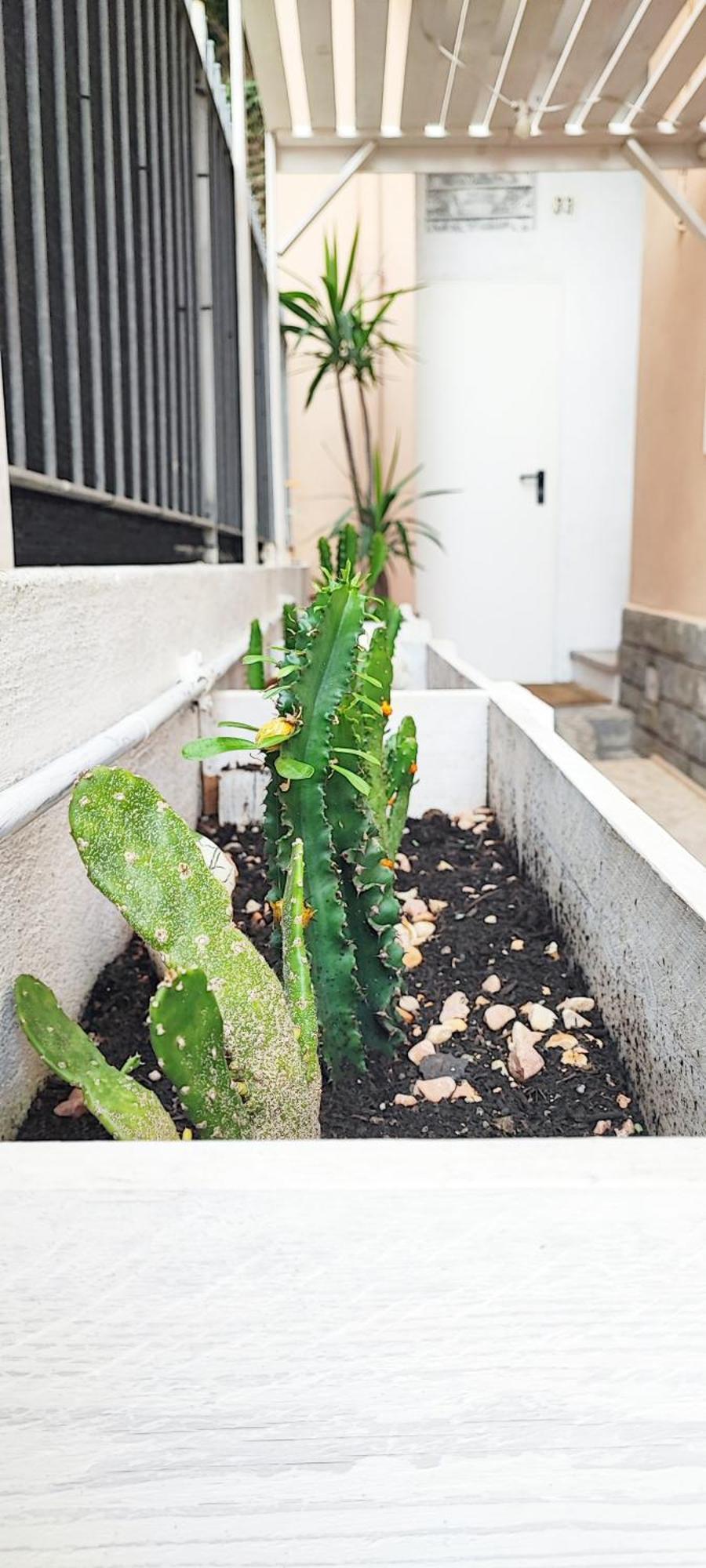 Residenza Bibliososta Appartement Ventimiglia Buitenkant foto