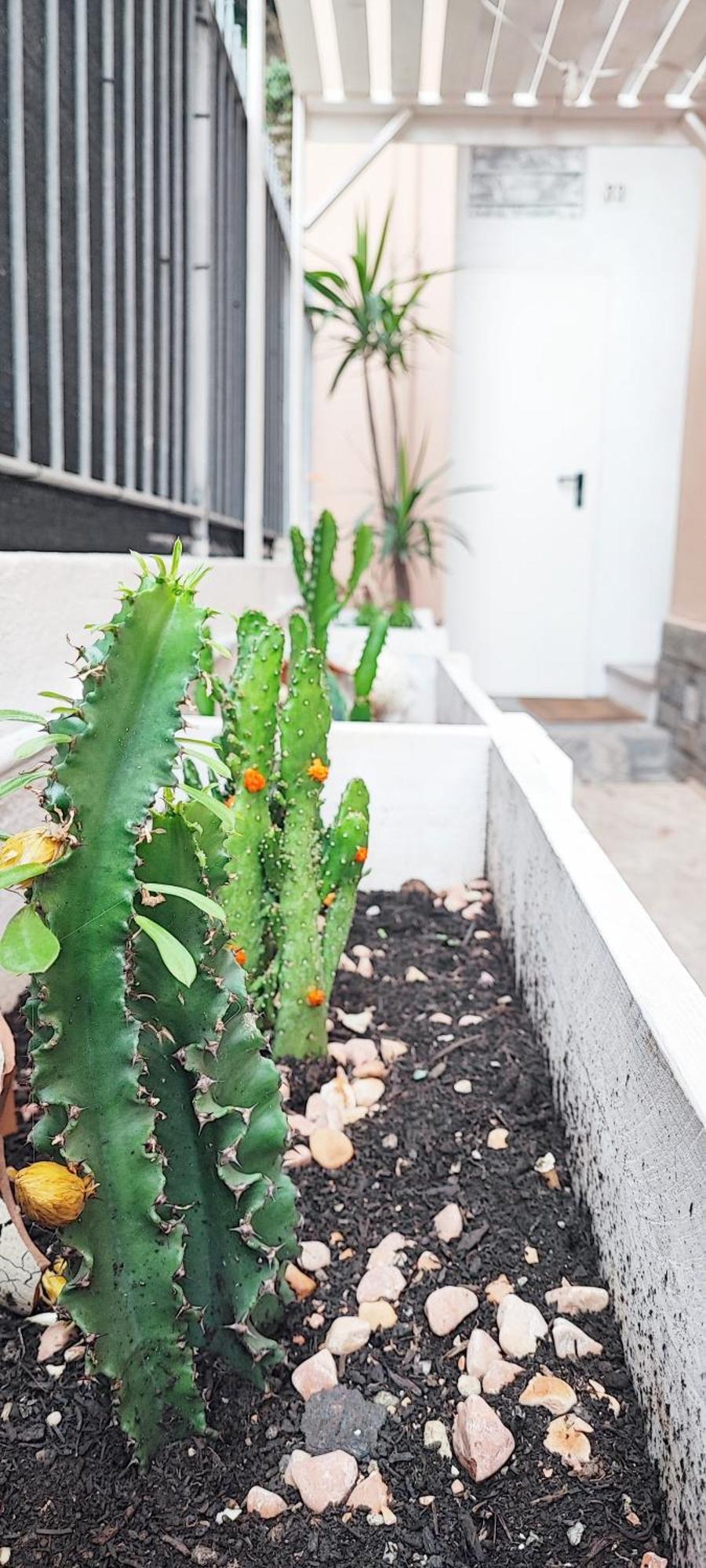 Residenza Bibliososta Appartement Ventimiglia Buitenkant foto